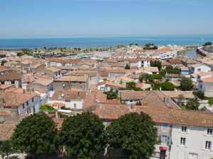 Traitement punaises de lit Saint-Martin-d'Hères